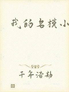 我的名模小娇妻