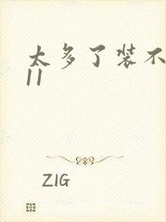 太多了装不下H11