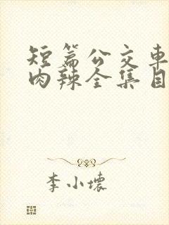 短篇公交车高h肉辣全集目录