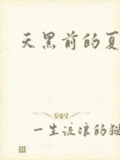 天黑前的夏天