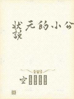 状元的小公主小说