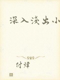 深入浅出小说