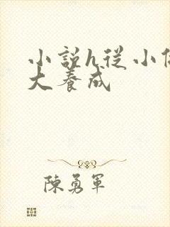 小说h从小做到大养成