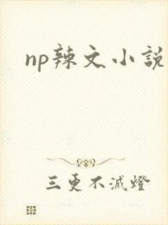 np辣文小说