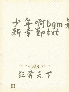 少年啊bgm最新章节txt