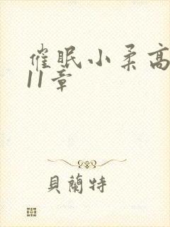 催眠小柔高达第11章