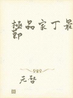 极品家丁最新章节