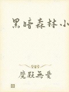 黑暗森林小说