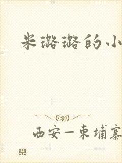 米璐璐的小说