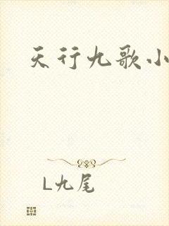 天行九歌小说