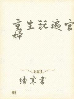 重生玩遍官场贵妇