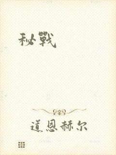 秘战
