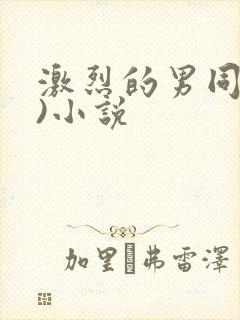 激烈的男同(h)小说