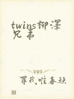 twins柳泽兄弟