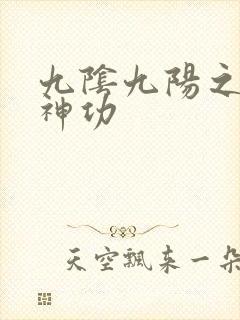 九阴九阳之阴阳神功
