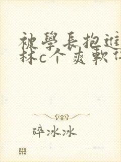 被学长抱进小树林c个爽软件