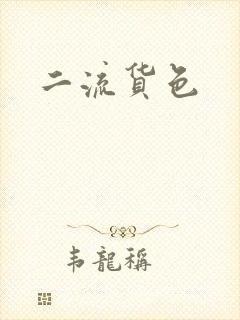 二流货色封面