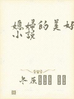 媳妇的美好时代小说