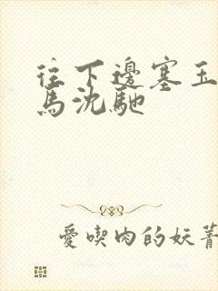 往下边塞玉器骑马沈驰