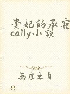 贵妃的承宠日常cally小说