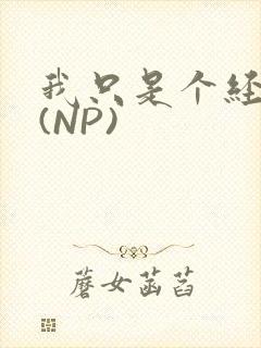 我只是个经纪人(NP)