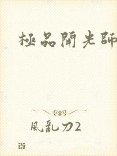 极品开光师