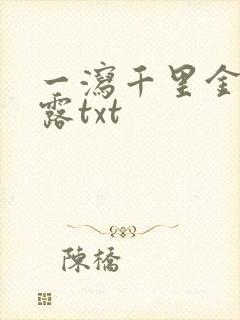 一泻千里金银花露txt