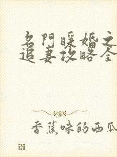 名门暖婚之权爷追妻攻略全文免费阅读