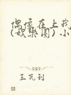 偶像在上我在下(娱乐圈) 小说免费阅读