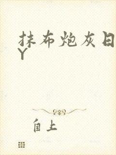 抹布炮灰日记BY