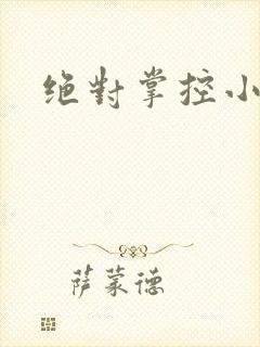 绝对掌控小说