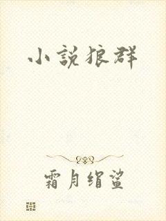小说狼群