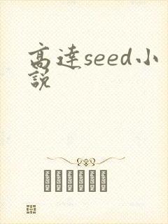 高达seed小说