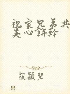 祝家兄弟共享后夹心饼干