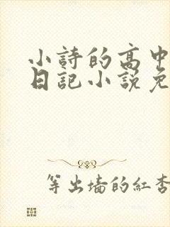 小诗的高中成长日记小说免费阅读