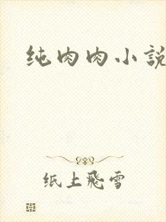 纯肉肉小说