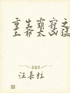 重生霸宠之摄政王爷太凶猛