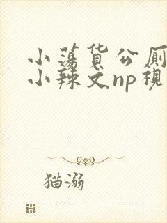 小荡货公厕h文小辣文np视频