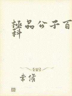 极品公子百度百科