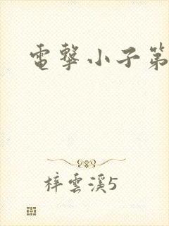 电击小子第二部