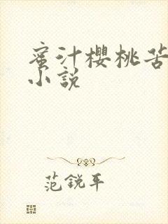 蜜汁樱桃苦咖啡小说