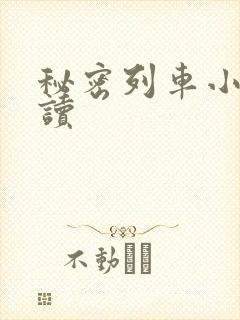 秘密列车小说阅读