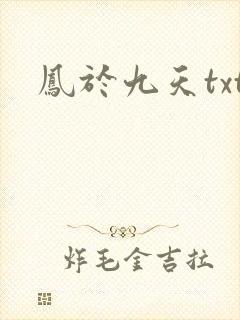 凤于九天txt