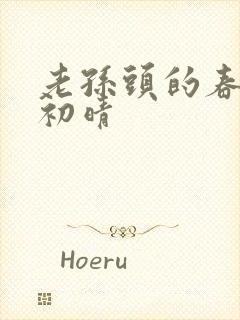 老孙头的春天林初晴