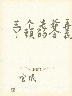 三个老爷弄一个丫头的含义封面