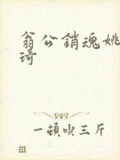 翁公销魂姚瑶琦琦