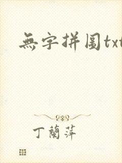 无字拼图txt