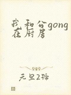 我和公gong在厨房