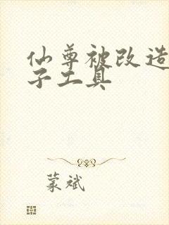 仙尊被改造成产子工具