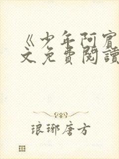 《少年阿宾》全文免费阅读